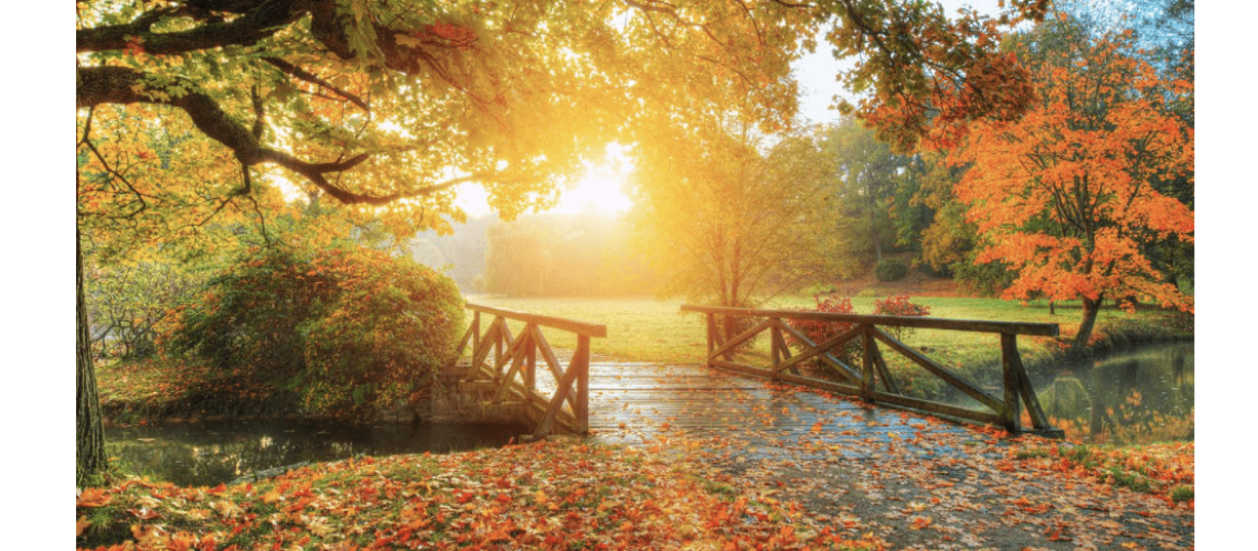 Capture d’écran 2021-10-15 à 15.20.30