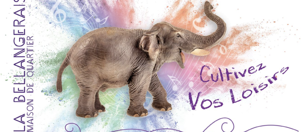 Adhésions et Tarifs