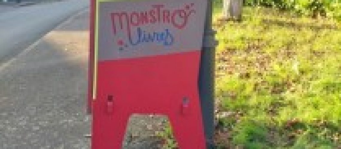 Monstrolivre-Arradon-2